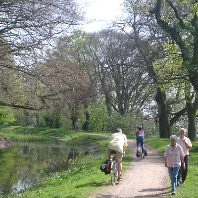 People cycling and walking along the canal path lined by trees